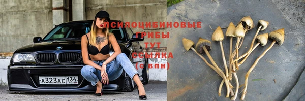 молекула духа Покровск
