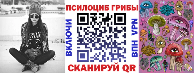 Псилоцибиновые грибы GOLDEN TEACHER  продажа наркотиков  OMG ONION  Борисоглебск 