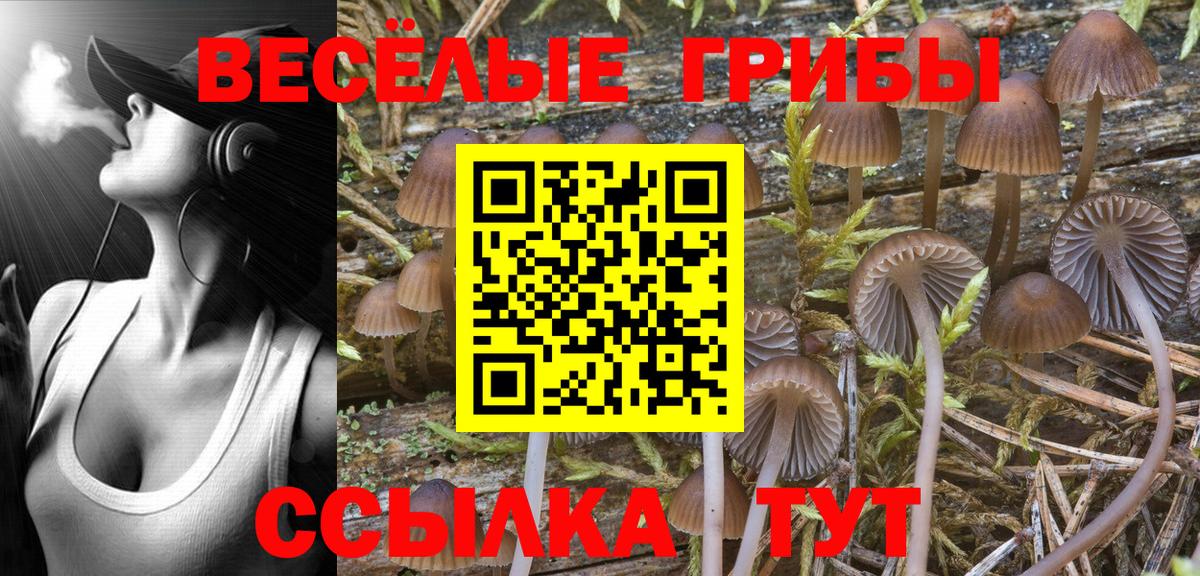 Псилоцибиновые грибы Magic Shrooms Борисоглебск