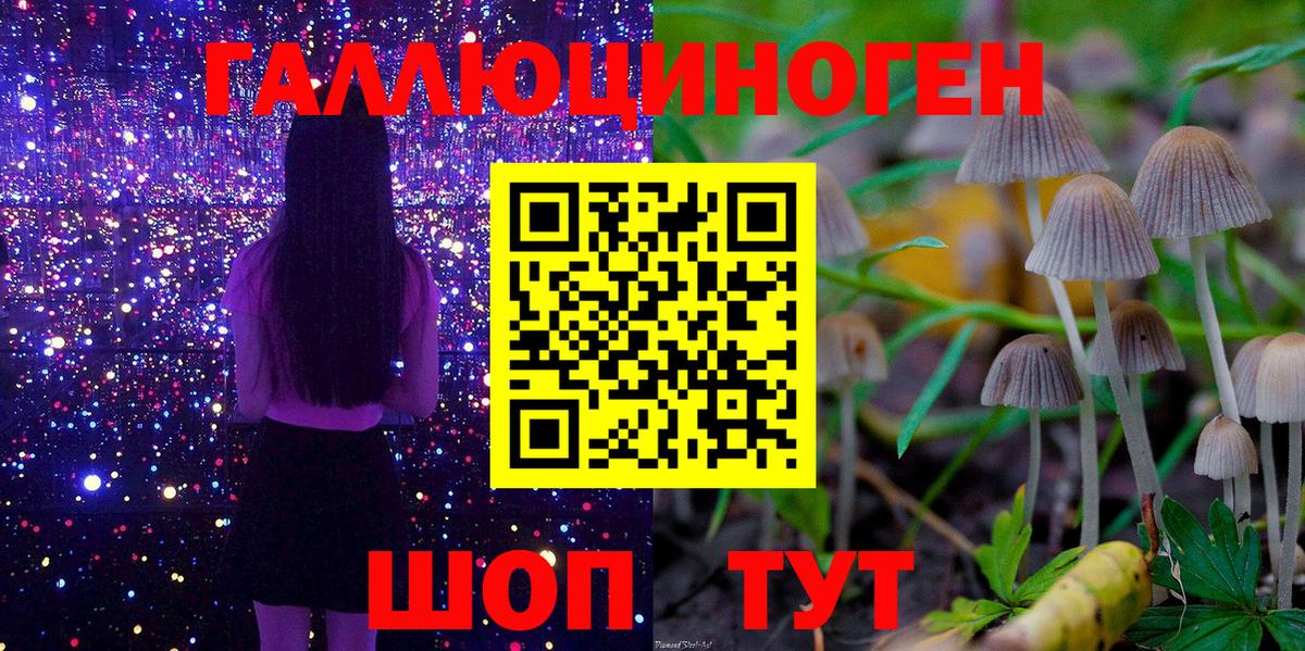 Борисоглебск  Псилоцибиновые грибы ЛСД  Вход с VPN 
