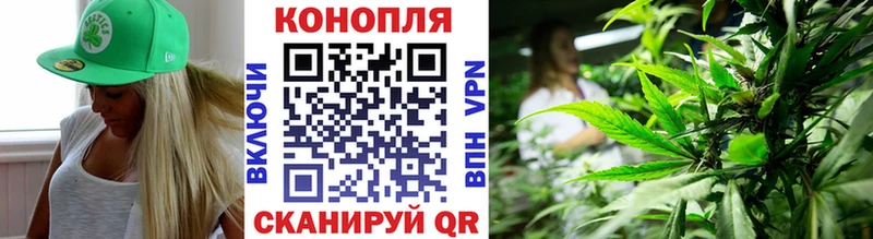 Бошки марихуана White Widow купить наркотики цена нарко площадка какой сайт Борисоглебск