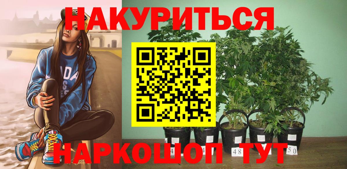 Бошки Шишки OG Kush Борисоглебск